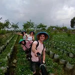 Buton Backpacker Lodge